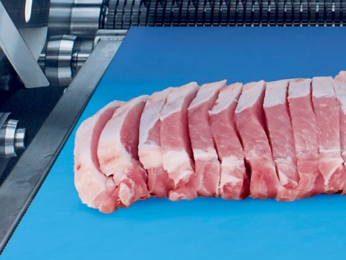 Conveyor Belts for Meat Industry