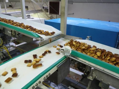 Conveyor Belt for Snack Industry