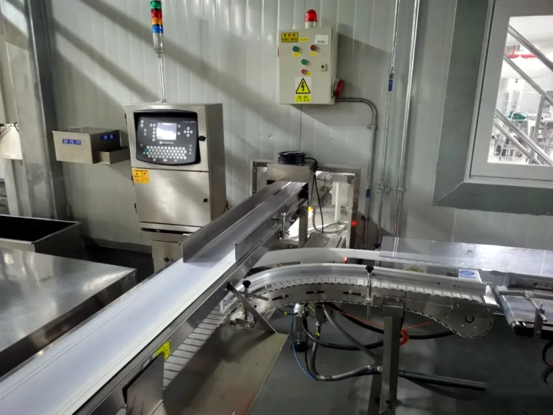 Hygiene Requirements and Applications of Belt Conveyors in the Food Industry