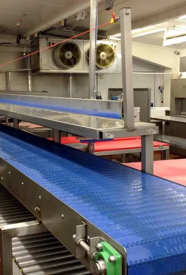 Industrial Conveyor Belts